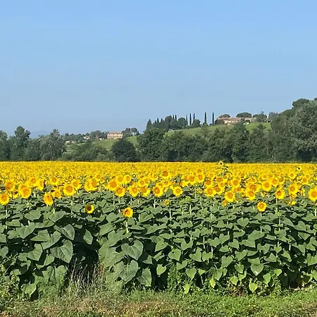 Your Tuscan Hideaway At Le Pietre Vive 3* Castelnuovo Berardenga